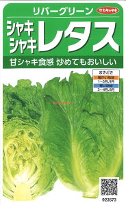 yszy5܂܂80~z seed  tane  q@o[O[ VLVL^X qq ubR[ Jt[ ^X 탊o[O[ VLVL^Xq