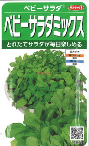 yszy5܂܂80~z seed  tane  q@xr[T_ xr[T_~bNX qq t  xr[T_ xr[T_~bNXqq t   seed  ta