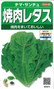 yszy5܂܂80~z seed  tane  q@`}ET` ē^X qq ubR[ Jt[ ^X `}ET` ē^Xqq ubR[ J