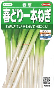 yszy5܂܂80~z tǂ{˂ t