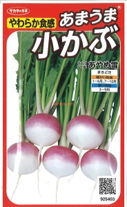 【代引不可】【送料5袋まで80円】 □やわらか食感あまうま小かぶ あやめ雪