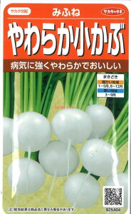 yszy5܂܂80~z seed  tane  q@݂ӂ 炩 qq 卪 Ju ݂ӂ 炩Ԏqq 卪 Ju  seed  tane  q݂ӂ 炩