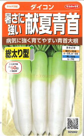 【代引不可】【送料5袋まで80円】 □ ダイコン暑さに強い献夏青首■種子 大根 カブ 種 種子 大根 カブ 種 種子 大根 カブ 種 種子 大根 カブ 種 種子 大根 カブ 種 種子 大根 カブ 種 種子 大根 カブ 種 種子 大根 カブ 種 種子