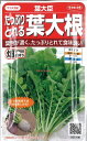 【代引不可】【送料5袋まで80円】 seed たね tane 種 種子　□葉大臣 たっぷりとれる葉大根 ◇種子種子 大根 カブ 種葉大臣 たっぷりとれる葉大根種子種子 大根 カブ 種 seed たね tane 種 種子葉大臣 たっぷりとれる葉大