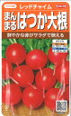 【代引不可】【送料5袋まで80円】 □レッドチャイム ラディッシュ ハツカダイコン ハツカダイコン はつかだいこん 20日大根 二十日大根 ラディッシュ
