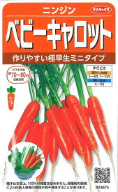 【代引不可】【送料5袋まで80円】 □ ニンジンベビーキャロット■種子 人参 種 種子 人参 種 種子 人参 種 種子 人参 種 種子 人参 種 種子 人参 種 種子 人参 種 種子 人参 種 種子 人参 種 種子 人参 種 種子 人参 種 種