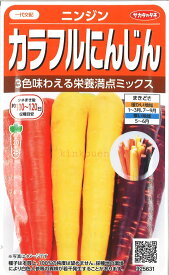 【代引不可】【送料5袋まで80円】 □ ニンジンカラフルにんじん■種子 人参 種 種子 人参 種 種子 人参 種 種子 人参 種 種子 人参 種 種子 人参 種 種子 人参 種 種子 人参 種 種子 人参 種 種子 人参 種 種子 人参 種 種子