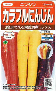 yszy5܂܂80~z seed  tane  q@jW Jtɂ񂶂 qq lQ jW Jtɂ񂶂qq lQ  seed  tane  qjW Jt