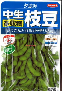 yszy5܂܂80~z seed  tane  q@[ n} qq  [ n}qq   seed  tane  q[ n}qq