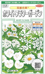 yszy5܂܂80~z seed  tane  q@ԊG̋ zCgt[K[f qq  ԊG̋ zCgt[K[fqq   seed  tane  qԊG