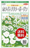 【代引不可】 【送料無料】seed たね tane 種 種子□花絵の具ホワイトフラワーガーデン ◇種子花絵の具ホ…
