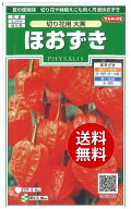 【代引不可】 【送料無料】seed たね tane 種 種子□切り花用大実ほおずき ◇種子切り花用大実ほおずき種…