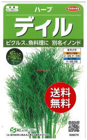 【代引不可】 【送料無料】seed たね tane 種 種子□ハーブディル【次回9月中旬入荷予定】 ◇種子種子 ハーブ 種ハーブディル【次回9月中旬入荷予定】種子種子 ハーブ 種 seed たね tane 種 種子ハーブディル【次