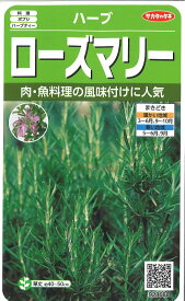 【代引不可】【送料5袋まで80円】 □ ハーブローズマリー■ハーブ 種種子 種子そ 他花 種 ハーブ 種種子 種子そ 他花 種 ハーブ 種種子 種子そ 他花 種 ハーブ 種種子 種子そ 他花 種 ハーブ 種種子 種子そ 他花 種 ハーブ 種種子