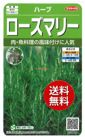 【代引不可】 【送料無料】seed たね tane 種 種子□ハーブローズマリー ◇種子種子 ハーブ 種ハーブローズマリー種子種子 ハーブ 種 seed たね tane 種 種子ハーブローズマリー種子種子 ハーブ 種 seed