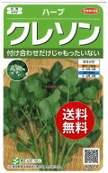 【代引不可】 【送料無料】seed たね tane 種 種子□ハーブクレソン ◇種子種子 ハーブ 種ハーブクレソン…