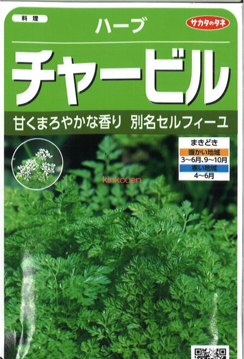 【代引不可】【送料5袋まで80円】◇ seed たね tane 種 種子 タネ チャービルハーブハーブ 種種子 種子そ 他 ハーブ 種種子 種子そ 他 ハーブ 種種子 種子そ 他 ハーブ 種種子 種子そ 他 ハーブ 種種子 種子そ 他 ハー 錦幸園 ◇ seed たね tane 種 種子 タネ ハーブアーティチョーク■種子 葉野菜 他 種ハーブ 種 種子 葉野菜 他 種ハーブ 種 種子 葉野菜 他 種ハーブ 種 種子 葉野菜 他 種ハーブ 種 種子 葉野菜
