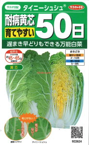 �y����s�z�y����5�܂܂�80�~�z seed ���� tane �� ��q�@���^�C�j�[�V���V�� �ϕa���c��Ă₷��50�� ����q��q �n�N�T�C ��^�C�j�[�V���V�� �ϕa���c��Ă₷��50����q��q �n�N�T�C �� 