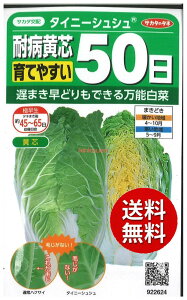 �y����s�z seed ���� tane �� ��q�@���^�C�j�[�V���V���ϕa���c��Ă₷��50�� ����q��q �n�N�T�C ��^�C�j�[�V���V���ϕa���c��Ă₷��50����q��q �n�N�T�C �� seed ���� tane �� ��q