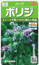 【代引不可】【送料5袋まで80円】 □ ハーブボリジ■ハーブ 種種子 種子そ 他花 種 ハーブ 種種子 種子そ 他花 種 ハーブ 種種子 種子そ 他花 種 ハーブ 種種子 種子そ 他花 種 ハーブ 種種子 種子そ 他花 種 ハーブ 種種子 種子