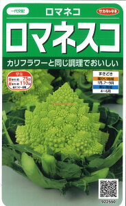 yszy5܂܂80~z }lR }lXR ĂȂƐHׂȂA؃AxW