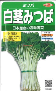 yszy5܂܂80~z ~co s݂