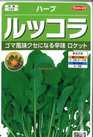 【代引不可】【送料5袋まで80円】 seed たね tane 種 種子　□ハーブ ルッコラ ロケット キバナスズシロ ◇種子種子 ハーブ 種ハーブ ルッコラ キバナスズシロ種子種子 ハーブ 種 seed たね tane 種 種子ハーブ ルッ