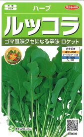 【代引不可】【送料5袋まで80円】 □ ハーブルッコラ■ハーブ 種種子 種子そ 他 ハーブ 種種子 種子そ 他 ハーブ 種種子 種子そ 他 ハーブ 種種子 種子そ 他 ハーブ 種種子 種子そ 他 ハーブ 種種子 種子そ 他 ハーブ 種種子 種子そ