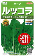 【代引不可】 【送料無料】seed たね tane 種 種子□ハーブルッコラ ロケット ◇種子種子 ハーブ 種ハー…