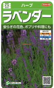 yszy5܂܂80~z seed  tane  q@n[u x_[ qq n[u n[u x_[qq n[u  seed  tane  qn[u x_[qq n