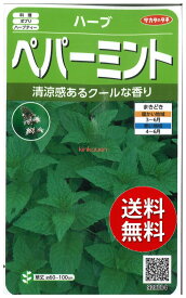 【代引不可】 seed たね tane 種 種子　□ハーブペパーミント ◇種子種子 ハーブ 種ハーブペパーミント種子種子 ハーブ 種 seed たね tane 種 種子ハーブペパーミント種子種子 ハーブ