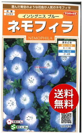 【代引不可】 seed たね tane 種 種子　□インシグニスブルーネモフィラ ◇種子種子 花 種インシグニスブルーネモフィラ種子種子 花 種 seed たね tane 種 種子インシグニスブルーネモフィラ種子種