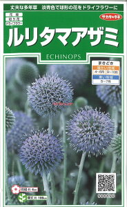 �y����s�z�y����5�܂܂�80�~�z seed ���� tane �� ��q�@�������^�}�A�U�~ ����q��q �� �탋���^�}�A�U�~��q��q �� �� seed ���� tane �� ��q�����^�}�A�U�~��q��q �� �� seed ���� tane �� 