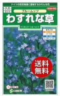 【代引不可】 【送料無料】seed たね tane 種 種子□ブルームッツわすれな草 ◇種子ブルームッツわすれな…