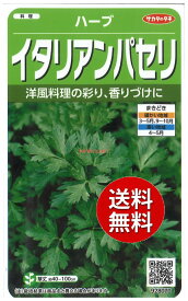 【代引不可】 【送料無料】seed たね tane 種 種子□ハーブイタリアンパセリ ◇種子種子 ハーブ 種ハーブイタリアンパセリ種子種子 ハーブ 種 seed たね tane 種 種子ハーブイタリアンパセリ種子種子 ハーブ 種