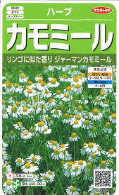 【代引不可】【送料5袋まで80円】 □ ハーブカモミール■ハーブ 種種子 種子そ 他 ハーブ 種種子 種子そ 他 ハーブ 種種子 種子そ 他 ハーブ 種種子 種子そ 他 ハーブ 種種子 種子そ 他 ハーブ 種種子 種子そ 他 ハーブ 種種子 種子そ