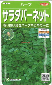 yszy5܂܂80~z seed  tane  q@n[u T_o[lbg I_RE qq n[u n[u T_o[lbg I_REqq n[u 