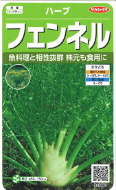 【代引不可】【送料5袋まで80円】 □ ハーブフェンネル■ハーブ 種種子 種子そ 他 ハーブ 種種子 種子そ 他 ハーブ 種種子 種子そ 他 ハーブ 種種子 種子そ 他 ハーブ 種種子 種子そ 他 ハーブ 種種子 種子そ 他 ハーブ 種種子 種子そ