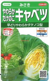 【代引不可】【送料5袋まで80円】 seed たね tane 種 種子　□みさき やわらかたけのこキャベツ ◇種子種子 キャベツ 種みさき やわらかたけのこキャベツ種子種子 キャベツ 種 seed たね tane 種 種子みさき やわらかた