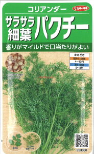 yszy5܂܂80~z RA_[ TTחtpN`[