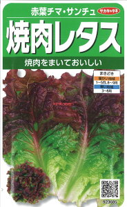 yszy5܂܂80~z seed  tane  q@ԗt`}ET` ē^X qq ubR[ Jt[ ^X ԗt`}ET` ē^Xqq ub