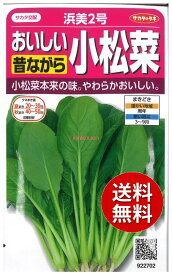 【代引不可】 seed たね tane 種 種子　□浜美2号おいしい昔ながら小松菜 ◇種子種子 コマツ菜 種浜美2号おいしい昔ながら小松菜種子種子 コマツ菜 種 seed たね tane 種 種子浜美2号おいしい昔ながら小松菜