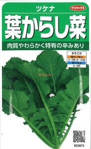 yszy5܂܂80~z seed  tane  q@cPi t炵 qq t  cPi t炵؎qq t   seed  tane  qcPi t炵؎q