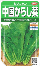 【代引不可】【送料5袋まで80円】 □ セリフォン中国からし菜■葉野菜 他 種種子 種子そ 他 葉野菜 他 種種子 種子そ 他 葉野菜 他 種種子 種子そ 他 葉野菜 他 種種子 種子そ 他 葉野菜 他 種種子 種子そ 他 葉野菜 他 種種子 種子そ