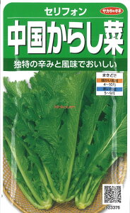 yszy5܂܂80~z seed  tane  q@ZtH 炵 qq t  ZtH 炵؎qq t   seed  tane  qZtH 