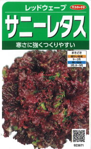 yszy5܂܂80~z bhEF[u Tj[^X