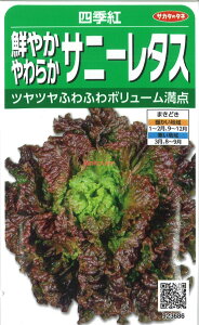 yszy5܂܂80~z lGg N₩炩Tj[^X