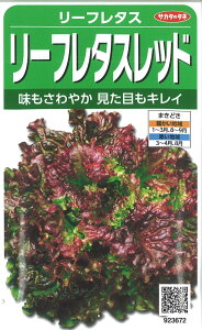 yszy5܂܂80~z seed  tane  q@[t^X [t^Xbh qq ubR[ Jt[ ^X 탊[t^X [t^Xbhqq u