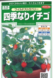 【代引不可】【送料5袋まで80円】 seed たね tane 種 種子　□ワイルドストロベリー 四季なりイチゴ ◇種子種子 葉野菜 他 種ワイルドストロベリー 四季なりイチゴ種子種子 葉野菜 他 種 seed たね tane 種 種子ワ