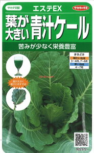 yszy5܂܂80~z t傫`P[ GXeEX